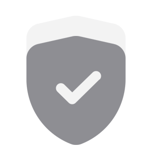 Shield Safe Icon
